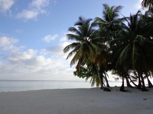 Various, Atoll and Reef